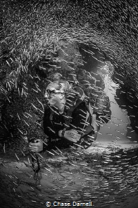 "Scatter"
A diver slowly makes her way into a swim throu... by Chase Darnell 